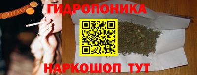 прущие крисы Ипатово